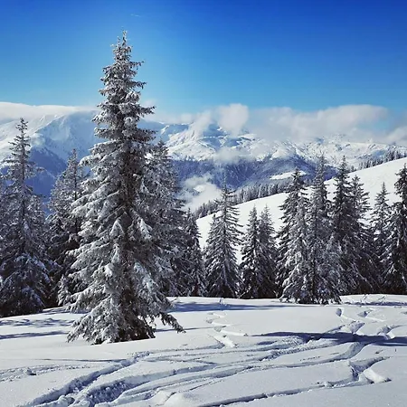 Appartamento Janita Xl Westendorf