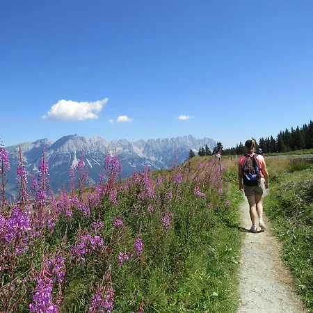 Janita Xl * Westendorf